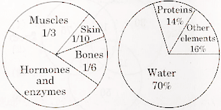 AP Grama Sachivalayam Exam question 54